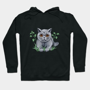 British gray cat Hoodie